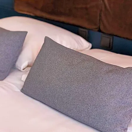 فندق Fletcher Hotel-restaurant De Reiskoffer Bosschenhoofd