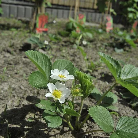 Fletcher Hotel-restaurant De Reiskoffer فندق