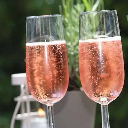 Fletcher Hotel-restaurant De Reiskoffer 酒店 波塞霍夫