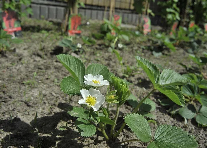 Fletcher Hotel-restaurant De Reiskoffer فندق